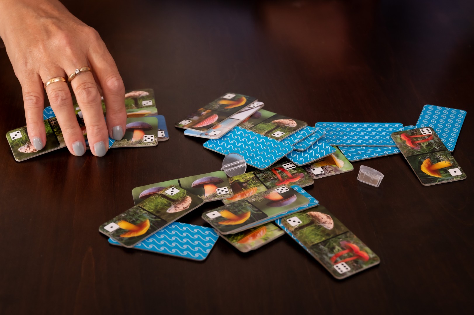 Domino Grzyby - obrazek 9