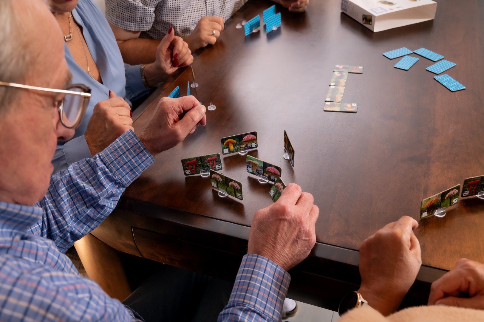 Domino Grzyby - obrazek 6