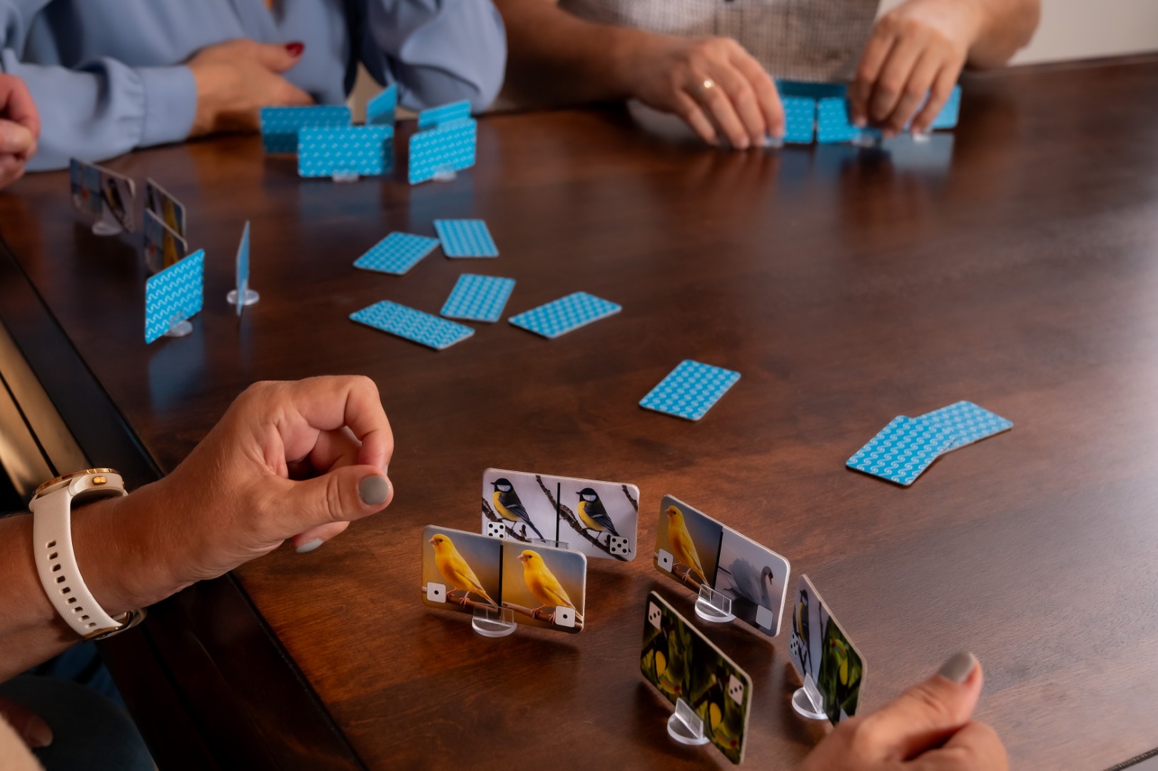 Domino Ptaki - obrazek 6