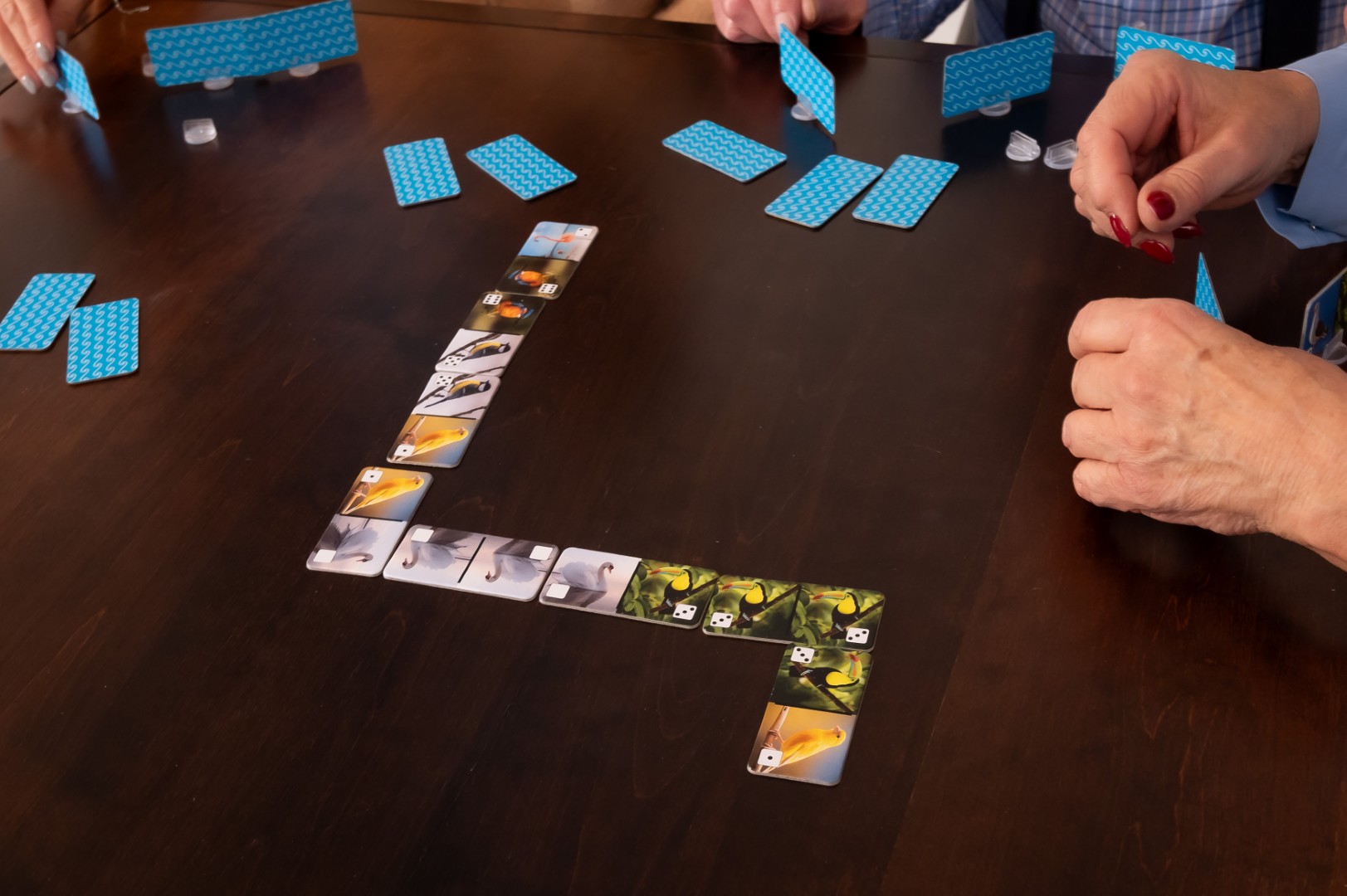 Domino Ptaki - obrazek 4