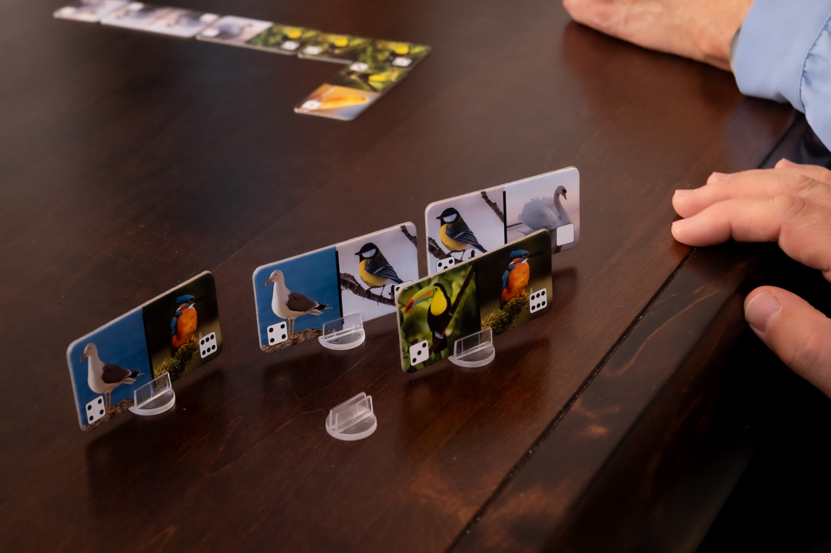 Domino Ptaki - obrazek 3