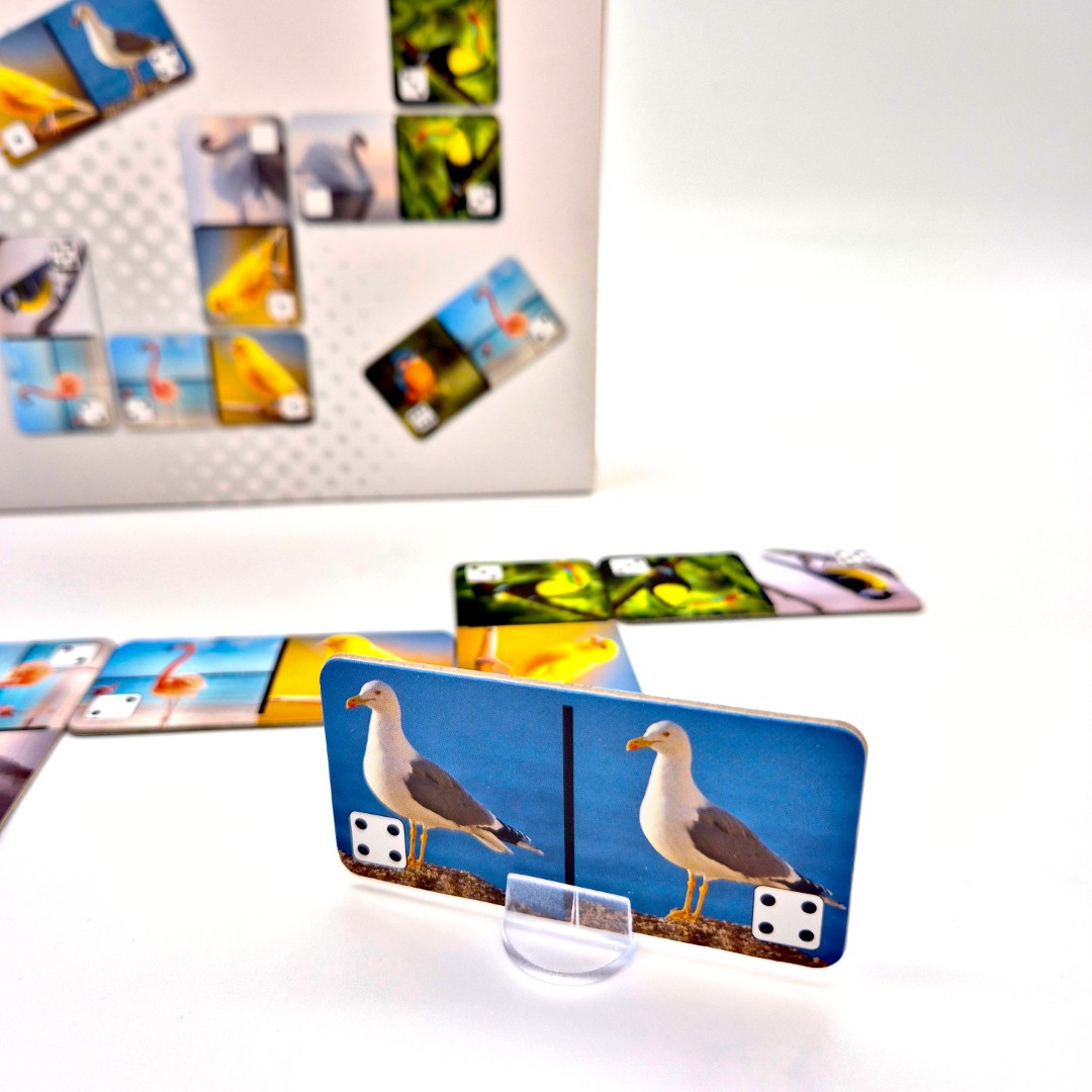 Domino Ptaki - obrazek 11